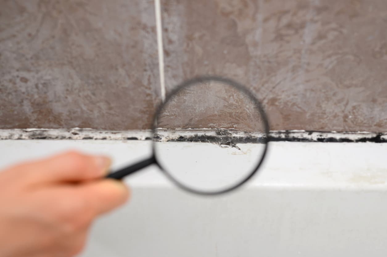 Summer heat & mold growth in your home
